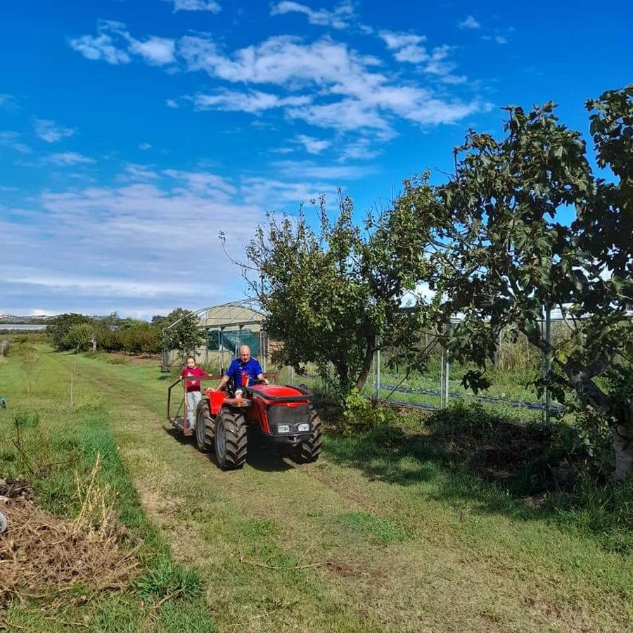 Agriturismo Il Cipresso Βίλα Vada Εξωτερικό φωτογραφία