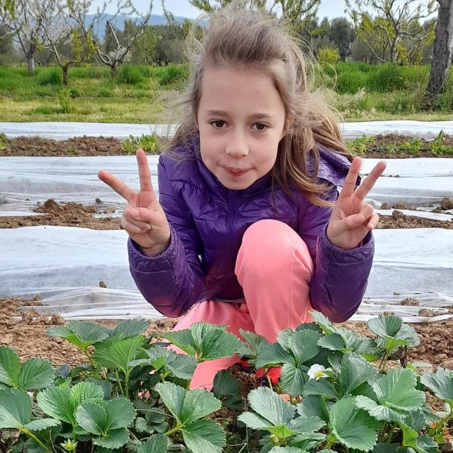 Agriturismo Il Cipresso Βίλα Vada Εξωτερικό φωτογραφία