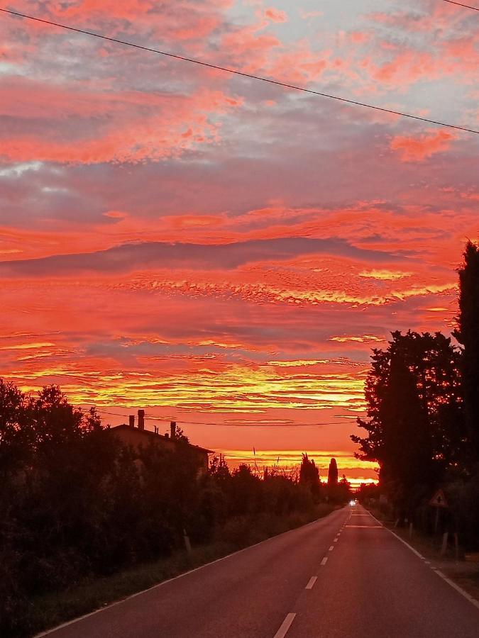 Agriturismo Il Cipresso Βίλα Vada Εξωτερικό φωτογραφία