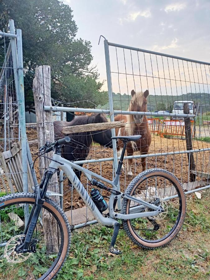 Agriturismo Il Cipresso Βίλα Vada Εξωτερικό φωτογραφία