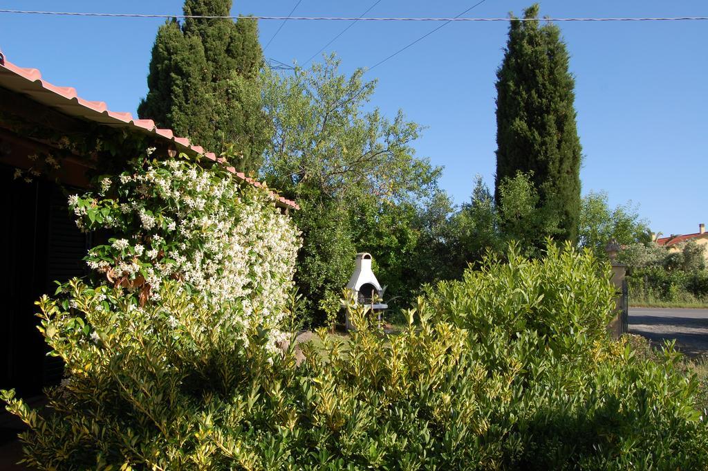 Agriturismo Il Cipresso Βίλα Vada Εξωτερικό φωτογραφία